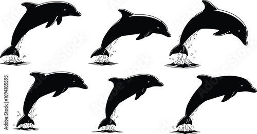 Black silhouette dolphins jumping out of water, ocean marine life, aquatic animals, nature wildlife, sea creatures, splashing water, playful dolphins vector.