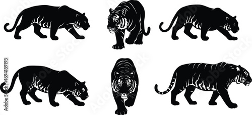 Tiger silhouette in various poses, wild animal, big cat, wildlife illustration, powerful predator, jungle creature, strength, nature, stalking tiger, hunting pose.