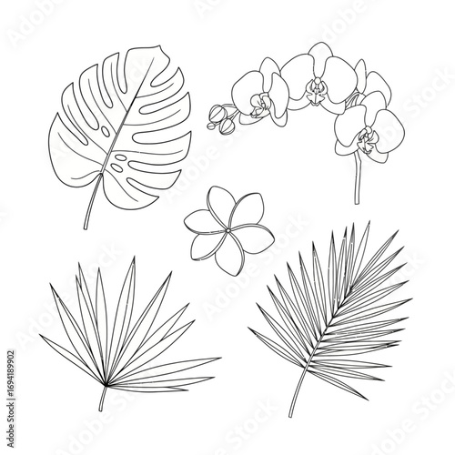 Minimalist black and white line drawing set of exotic botanical elements featuring tropical flowers and palm leaves for design