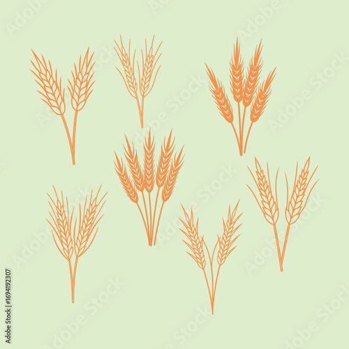 Wheat Stalk Sets Illustration for Harvest and Rustic Design