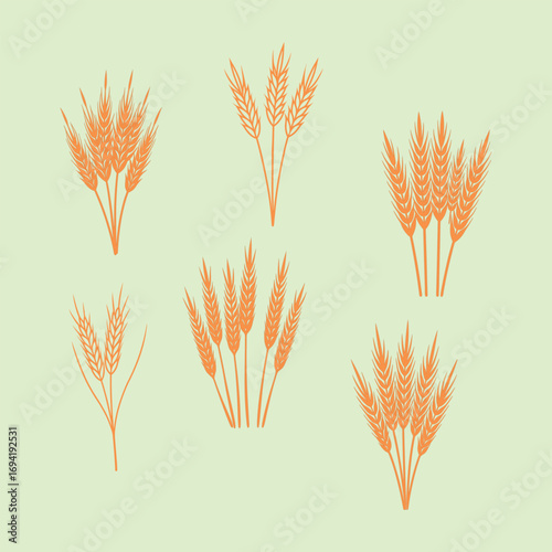 Wheat Stalk Sets Illustration for Harvest and Rustic Design