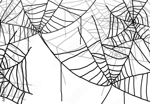 Spider web illustration design simple outline.eps