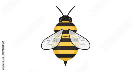 Striped bumblebee illustration showcasing detailed wings and intricate striped pattern against clean white backdrop
