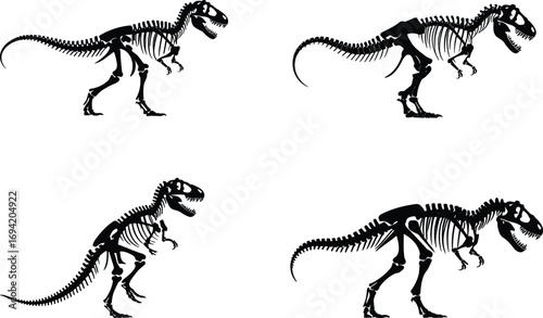 Collection of dinosaur skeleton silhouettes, Tyrannosaurus rex fossil bones vector illustration,  