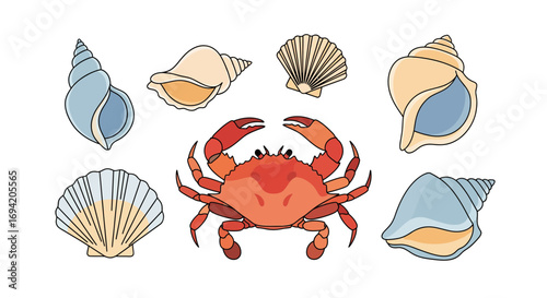 A collection of sea creatures featuring a crab and various seashells in a colorful illustration style perfect for summer themes