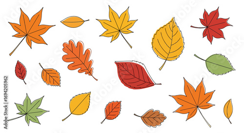 Colorful autumn leaves illustration featuring maple, oak, birch, and other tree leaf types in red, orange, yellow, and green against a white backdrop