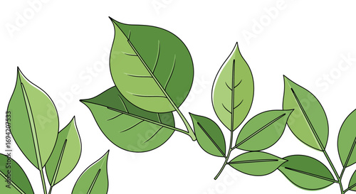 Fresh green leaves illustration showcasing plant foliage and nature's beauty in a botanical arrangement