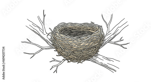 Illustration of a detailed bird's nest made of twigs nestled securely within the branches of a bare tree