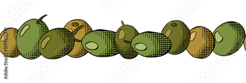 Olive Olive berry seamless horizontal border. Vector graphic line ink colored illustration. Greek oil harvest. Vector mediterranean tree on transparent background. Packaging print for food design