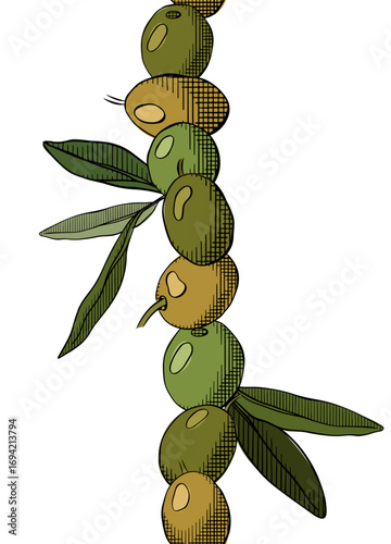 Olive berries and leaves seamless illustration vertical border. Vector graphic line ink colored. Banner, poster, wrapping paper, sticker, print, modern textile design.