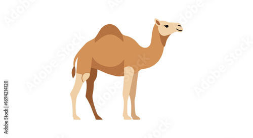 Stylized illustration of a dromedary camel standing, showcasing its unique hump and adapted physique for arid environments