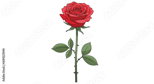 Illustrative depiction of a red rose blossom showcasing soft petals and verdant leaves a floral art rendition emphasizing romance beauty and