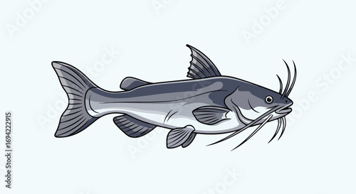 Detailed digital illustration of a catfish with whiskers, fins, and a sleek body isolated against a light backdrop
