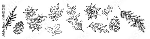 Hand drawn vector illustration of winter greenery, pine branches, holly, poinsettia, berries, and cones. Festive botanical elements for Christmas design, cards, and seasonal decorations.