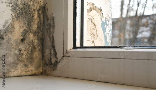 Tableau sur toile mold on window apartment