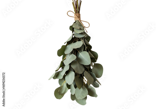 Bunches of green mistletoe tied with twine for holiday decorations and festive winter celebrations