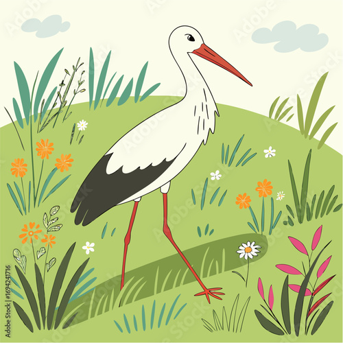 stork in the grass