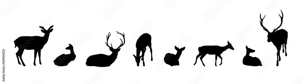 Fototapeta premium Red deer. Vector set of black silhouettes of deer.