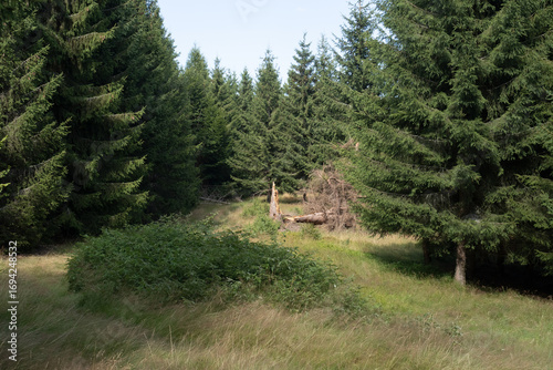 Misterious Romanian mountains
