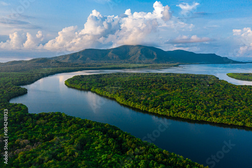 Aerial View of River Through Lush Rainforest