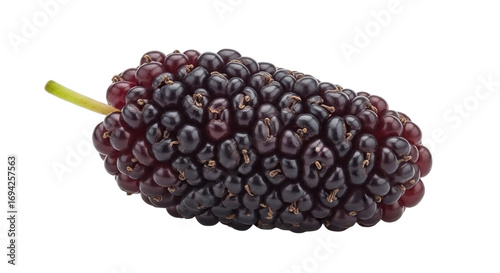 Mulberry on a Transparent Background