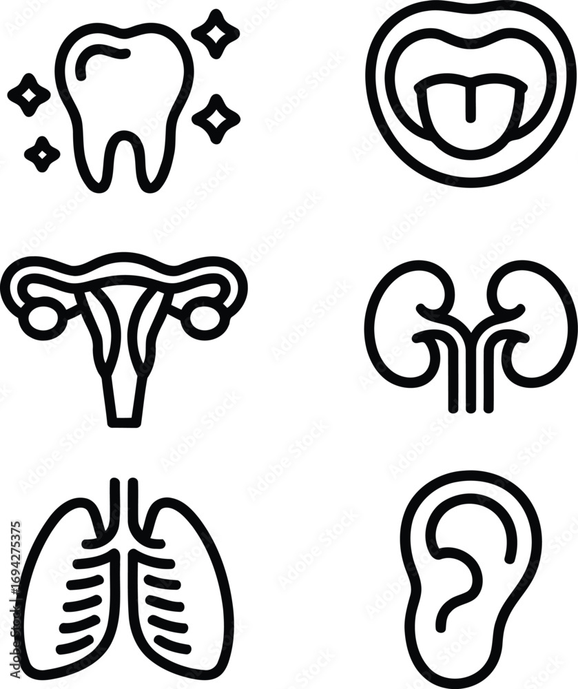 Obraz premium Medical Iconography Featuring Human Anatomy Teeth Tongue and Uterus Kidneys Lungs and Ears Showcasing Healthcare Body Parts