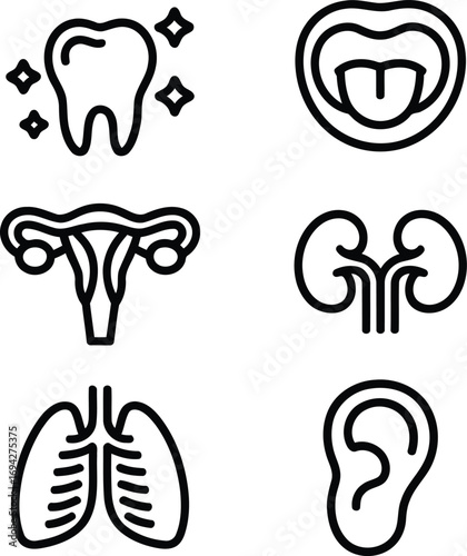 Medical Iconography Featuring Human Anatomy Teeth Tongue and Uterus Kidneys Lungs and Ears Showcasing Healthcare Body Parts
