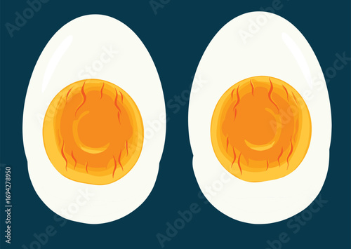 Hard-boiled egg vector illustration showing sliced halves with orange yolk and red veins for food, nutrition, and stylized concept design