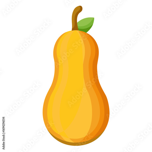 Minimal clean color vector butternut squash illustration