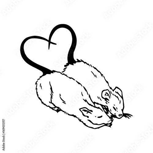 love rats with heart tail