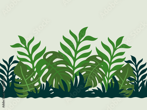 Monstera vector illustration of a green plant