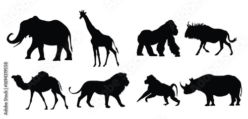  animal silhouette set vector image vector illustration