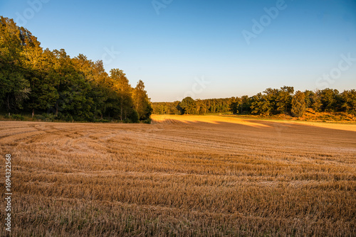 autumn landscape in the countryside