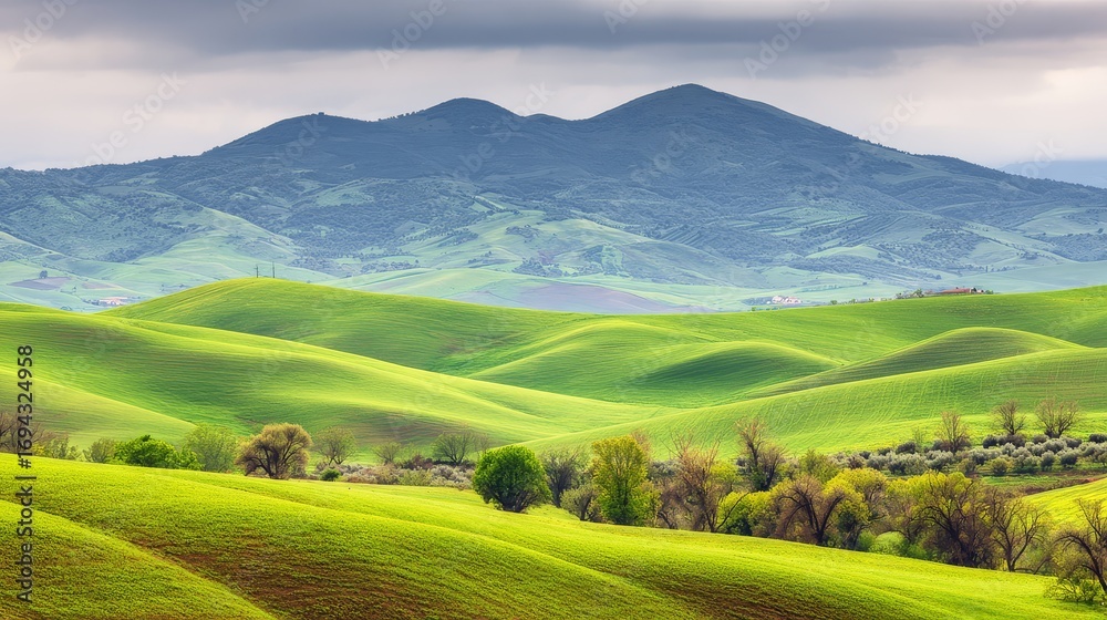 Fototapeta premium Rolling hills covered with wildflowers under bright spring sky, high-resolution rural seasonal landscape photography