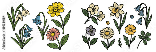 Collection of hand-drawn spring flowers including snowdrop, bluebell, daffodil, and daisy in a vintage woodcut style, isolated botanical elements for design