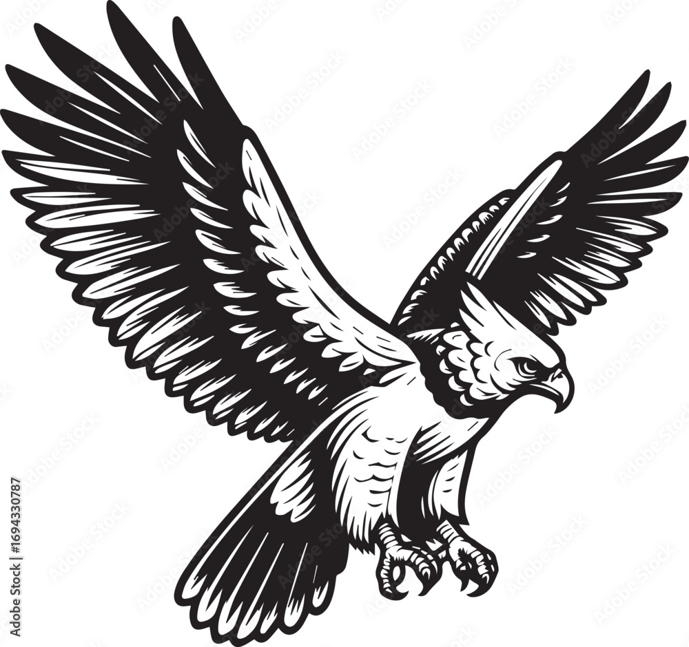 Fototapeta premium Harpy Eagle Vector in black and White