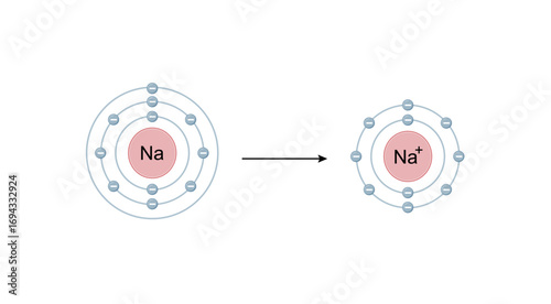 Sodium ion. Cation Structure, positively charged ion. Scientific Design. Vector Illustration.