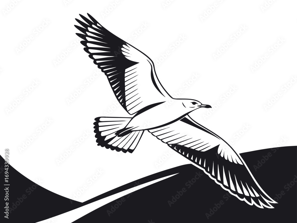 Fototapeta premium black headed gull isolated