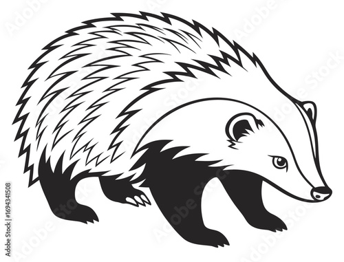 vector illustration of a panda