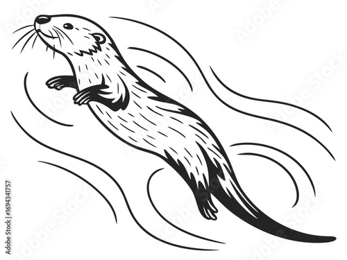 vector drawing of a lion