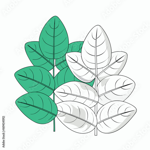 leaf concept illustration vector eps