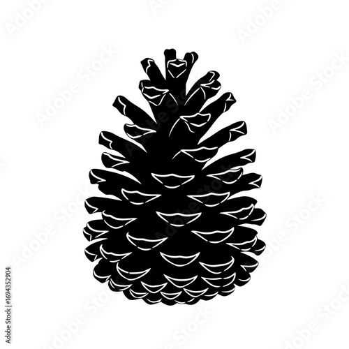 pine fruit vector illustration