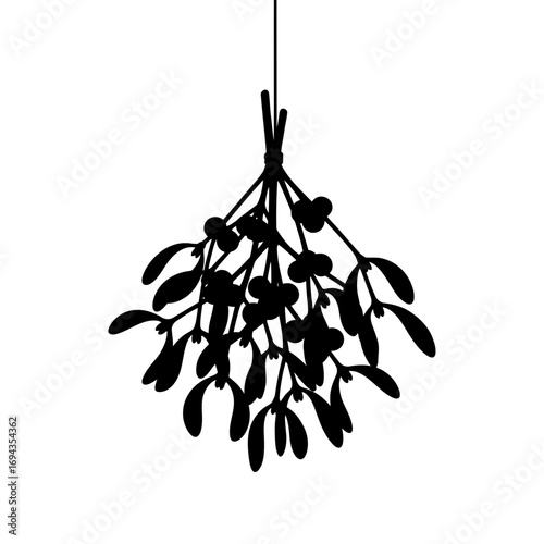 branch of olive tree