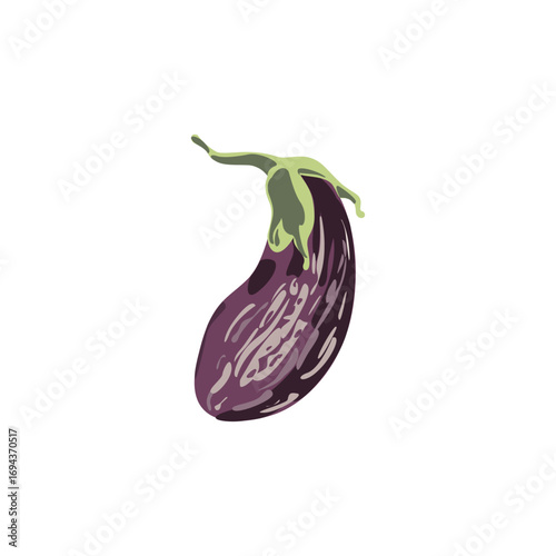Organic Eggplant Cartoon Illustration.