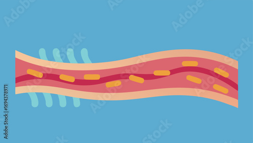 Collagen Fibers A graphic representation of collagen fibers under the skin showcasing their structure and how they provide support and elasticity to the skin.