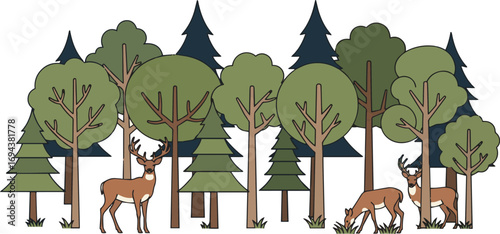Create a kinds of deferent Forest with deer's vector art with white background..
