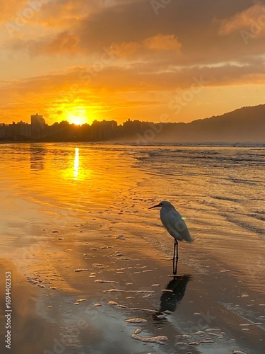 praia grande - amanhecer