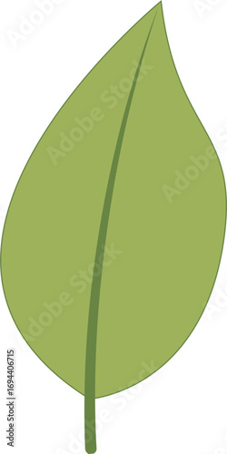 Tropical Leaves Botanical Elements Flat Style in Natural Pastel
