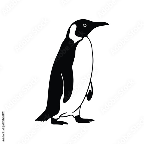 Simple hand drawn emperor penguin illustration minimalist vector arctic animal vector