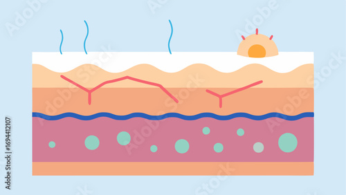 Diagram of Skin Layers A crosssectional view of skin layers with labeled sections where exosomes are introduced to show how the treatment trates and affects pore size over time.